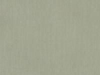 02A Canvas Seasalt