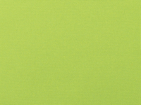 04A Canvas Macaw
