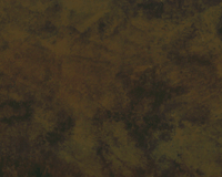 05 Walnut