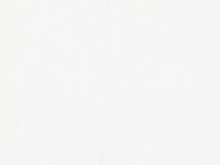06D White