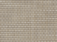 147 Birch