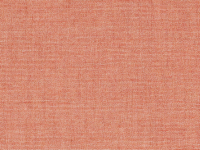 196 Remix Mesa