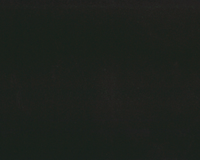 27 Black