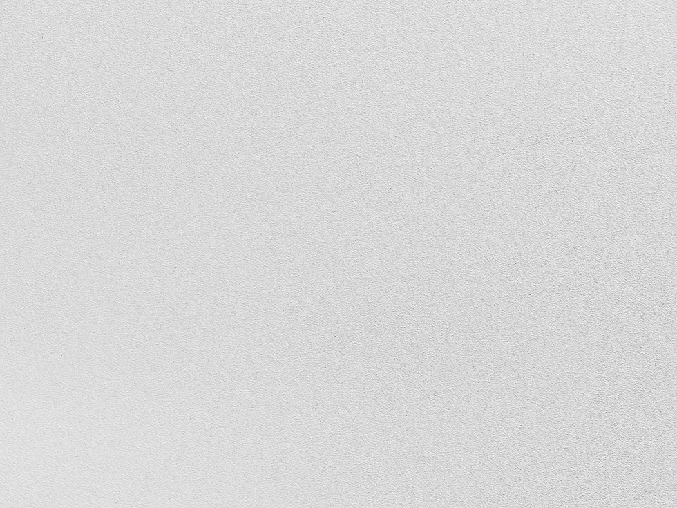 38 White TXT PC