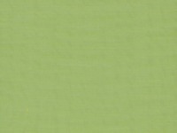 38D Lime