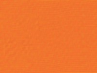 41D Tangerine Mesh