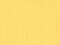 43D Yellow