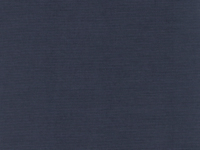 86R Rain Indigo