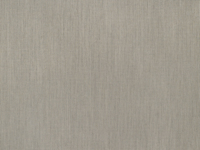 874 Augustine Oyster