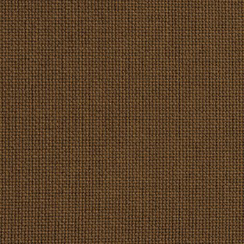 Canyon Cocoa