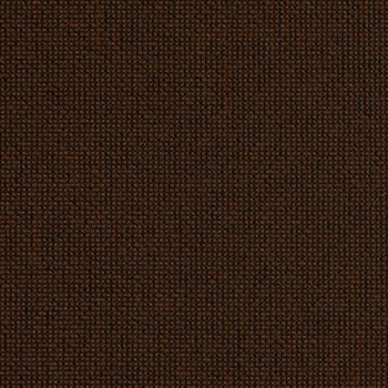 Canyon Walnut