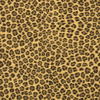 Cheetah Safari