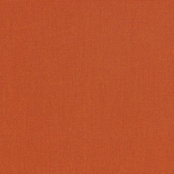 Canvas Rust