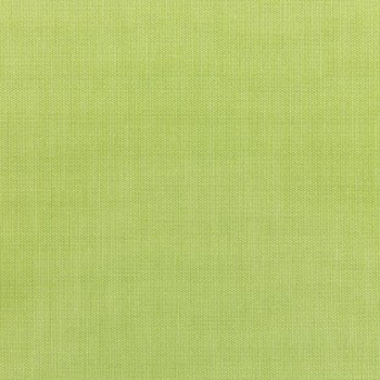 Canvas Parrot
