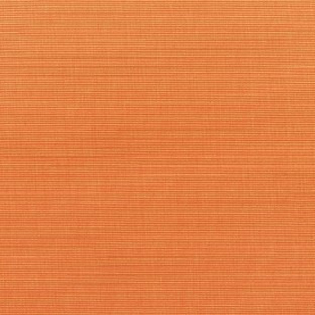 Canvas Tangerine
