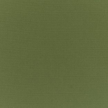 Canvas Palm