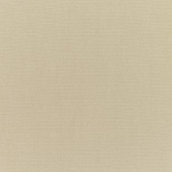 Canvas Antique Beige