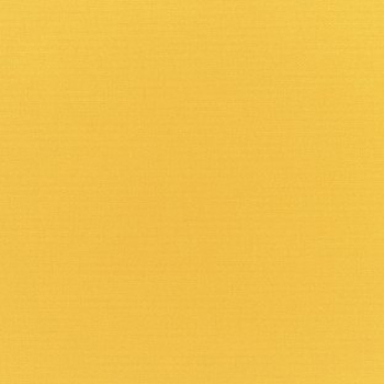 Canvas Sunflower Yellow