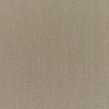 Sunbrella Rain Canvas Taupe