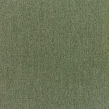 Canvas Fern