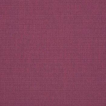 Canvas Iris