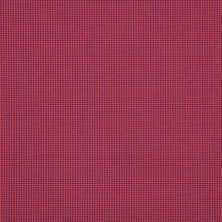 Volt Fuschia