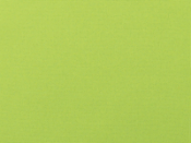 04A Canvas Macaw