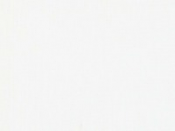 06D White