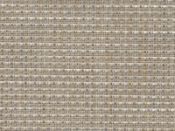 147 Birch