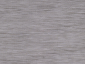 260 Fossil