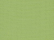 38D Lime