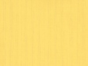 43A Yellow