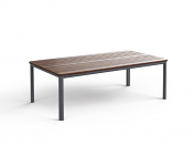 Mesa 48" Rectangular Coffee Table (Slate+Ipe)