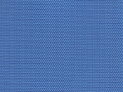 71D Bermuda