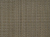 870 Elevation Stone