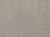 874 Augustine Oyster