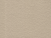 DS Desert Sand