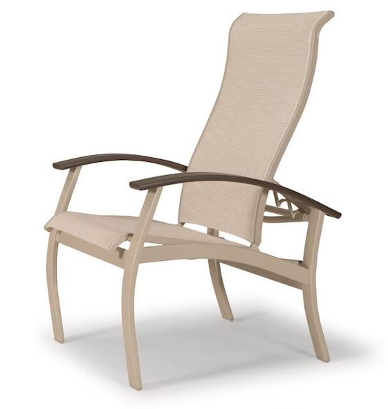 Arm Chair with Multi-Position Back