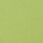 Flagship Gingko