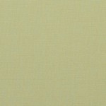 Meridian Patina