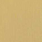 Sasian Sesame
