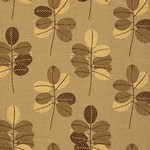 Lanai Teak