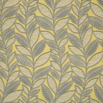 Renewal Linden