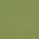 Sunbrella Rain Spectrum Cilantro