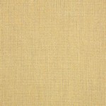Spectrum Almond