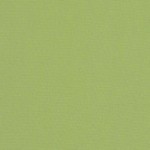 Canvas Gingko