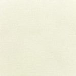 Sunbrella Rain Canvas Natural