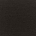 Sunbrella Rain Canvas Black