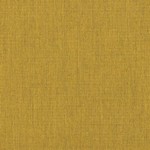 Canvas Maize