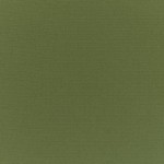 Canvas Palm